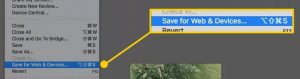 Save for the web in Photoshop elements